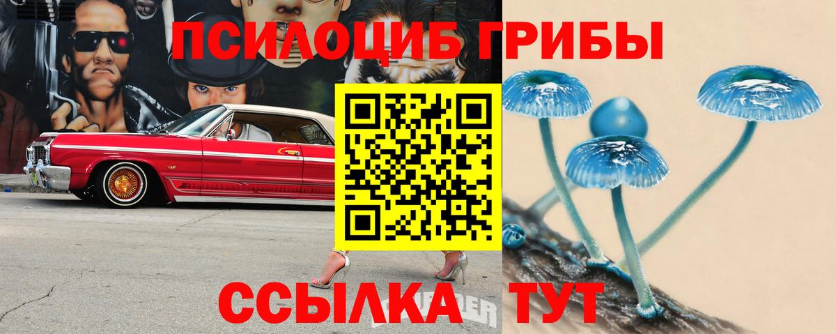 Галлюциногенные грибы Psilocybine cubensis  Вход с VPN  Сосновый Бор 
